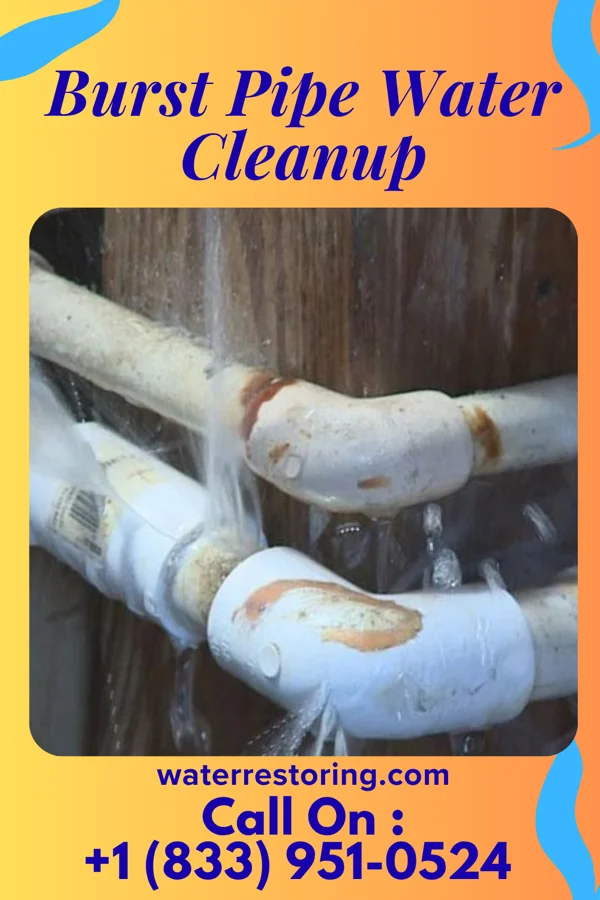 Burst Pipe Water Cleanup in Sherburn, MN