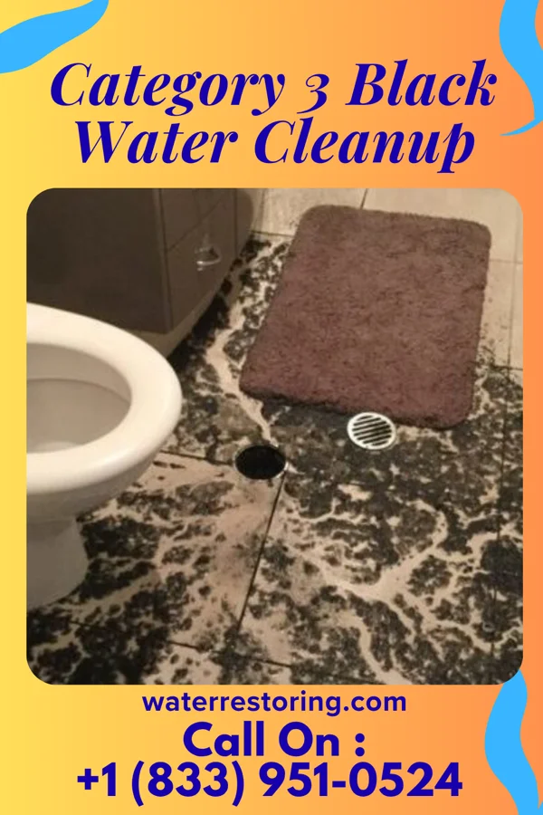 Category 3 Black Water Cleanup in Sherburn, MN