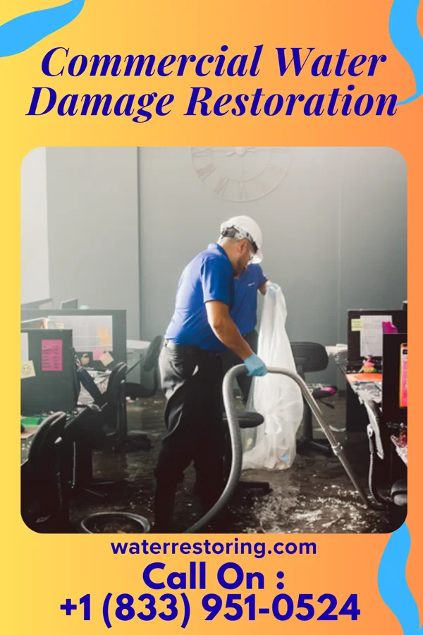 Commercial Water Damage Restoration in Sherburn, MN