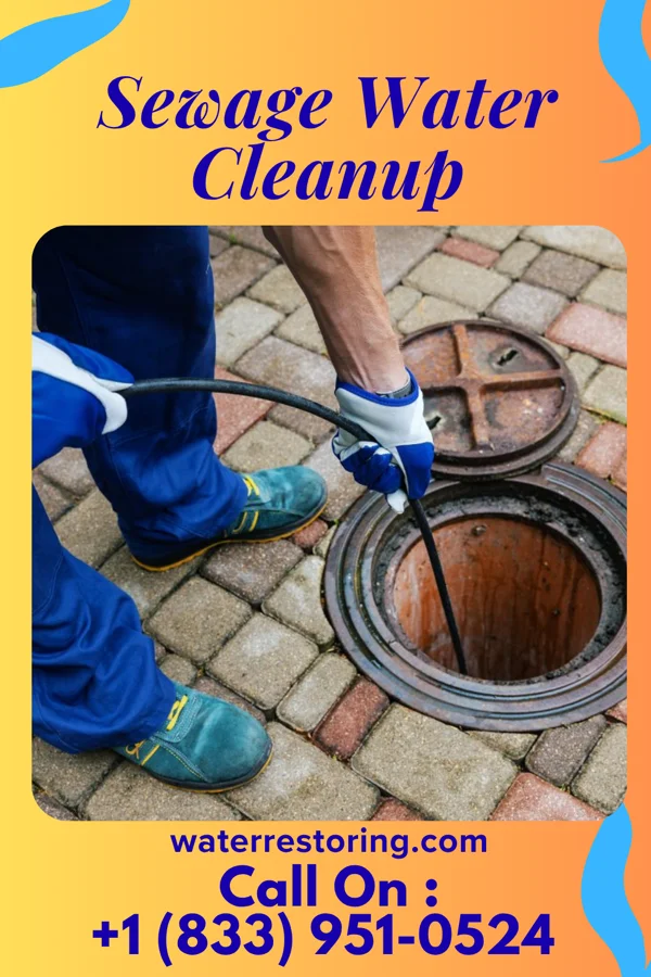 Sewage Water Cleanup in Sherburn, MN