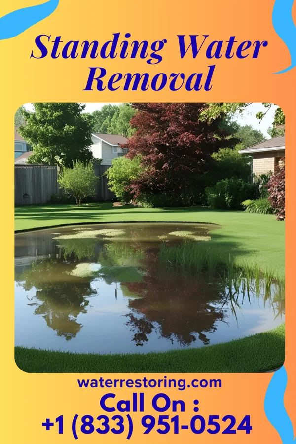 Standing Water Removal in Sherburn, MN